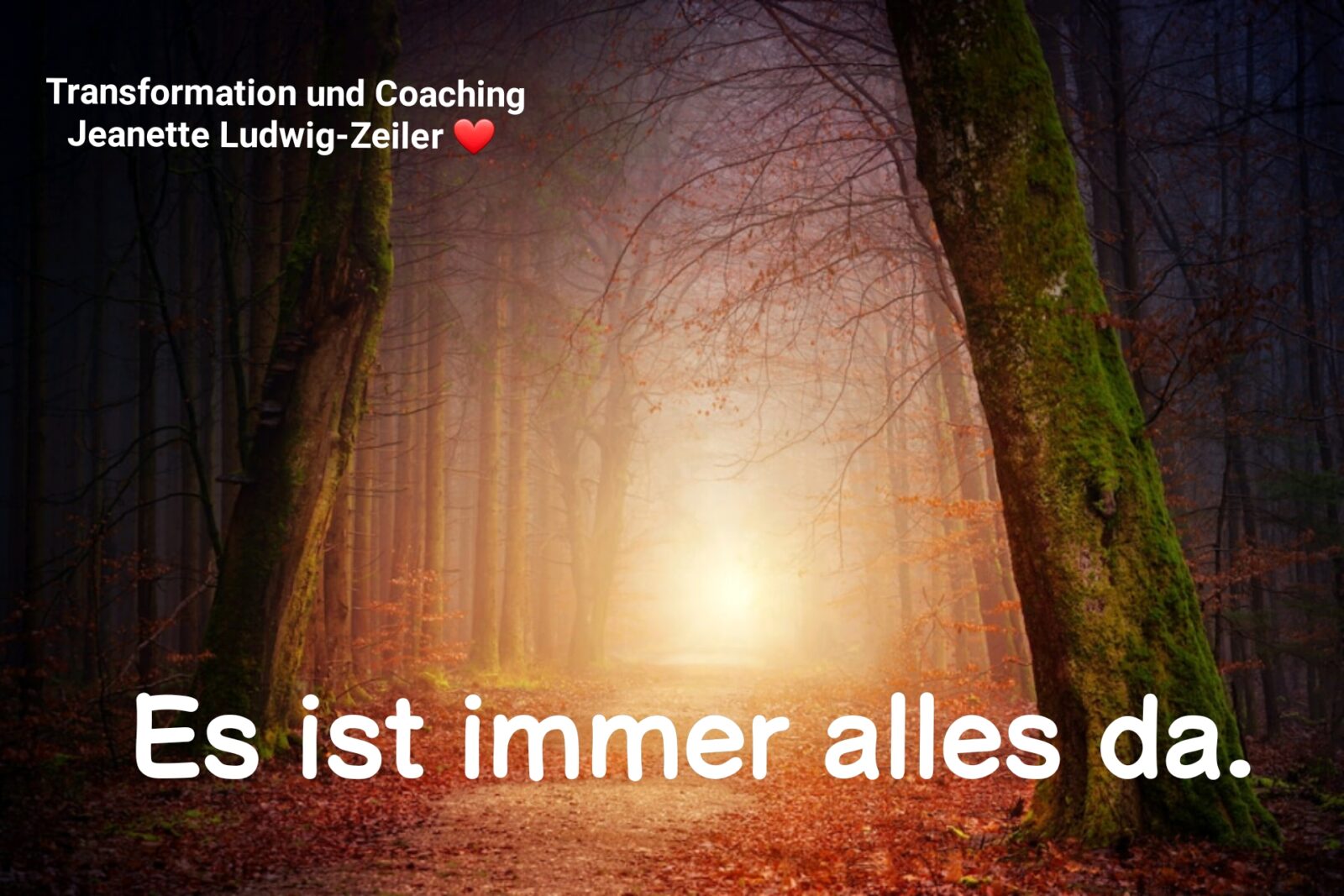 Wie du in deinem Alltag vom Mangel in die Fülle kommst. 💜💫