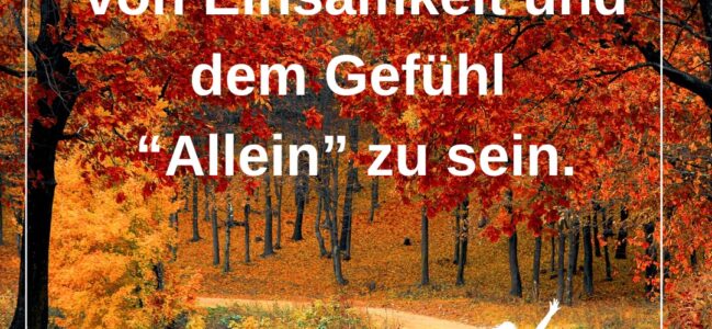 🔹️🔸️Was sind URSACHEN und AUSLÖSER des Gefühls „Ich bin allein.“? 🔹️🔸️