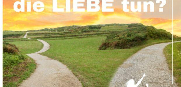 Was würde die LIEBE tun? ❤